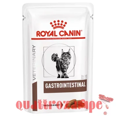 royal_canin_gastro_intestinal_100_gr_umido_gatto.jpg