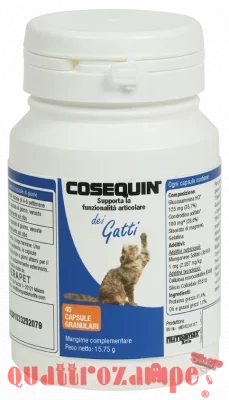 00.1413.00_Cosequin_for_cats_capsules_45ct_ITALY_MOCKUP.png