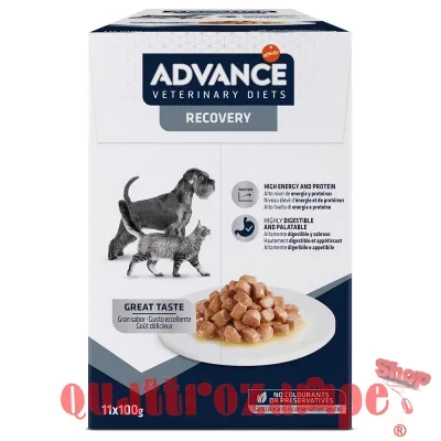 Advance Veterinary Diets Recovery 100 gr Alimento Umido Cani Gatti