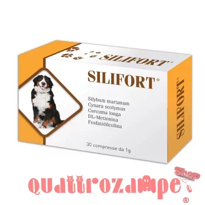 Aurora Biofama Silifort 30 Compresse 1 gr