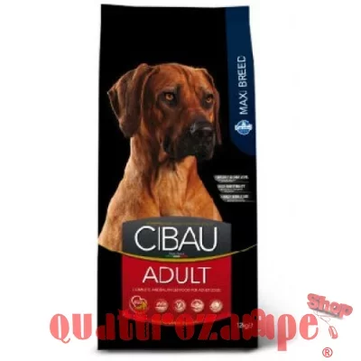 CIBAU_LARGE_ADULT.jpg