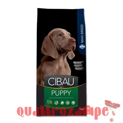 CIBAU_PUPPY_LARGE_.jpg