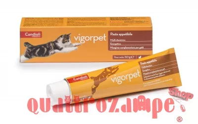 Candioli Vigorpet Pasta 50 gr Multivitaminico Per Gatti