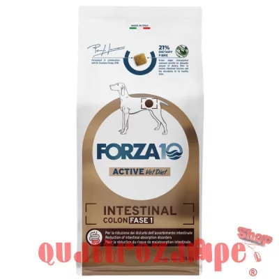 Forza 10 Intestinal Colon Fase 1 10 kg Cane