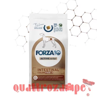 Forza 10 Intestinal Colon Fase 2 10 kg Cane