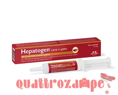 Hepatogen-pasta-1.jpg