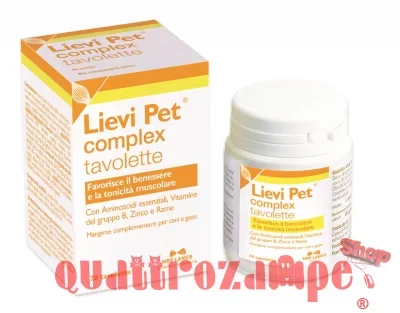 Lievi_pet_feb19.jpg