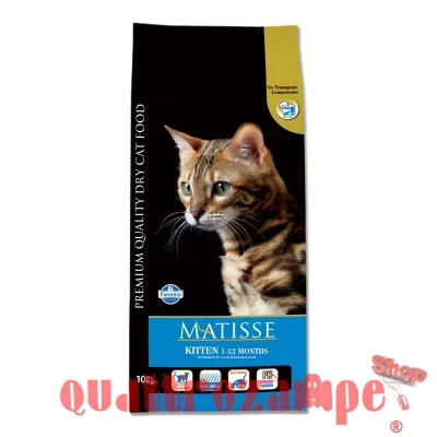 MATISSE-KITTEN10_1.jpg