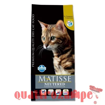 MATISSE-NEUTERED10_1.jpg