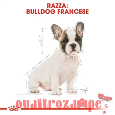 Royal Canin Bulldog French Puppy 10 kg Bulldog Francese Cucciolo
