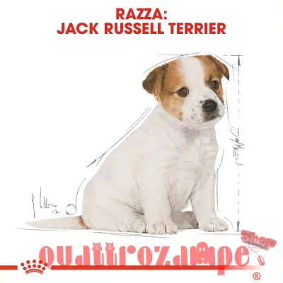 Royal canin jack russel terrier cheap