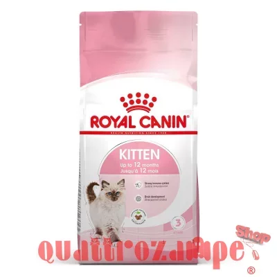 Royal Canin Kitten gatto gr 400