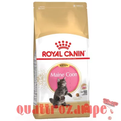 ROYAL_CANIN_KITTEN_MAINE_COON.jpg