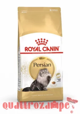 ROYAL_CANIN_PERSIAN_ADULT.jpeg