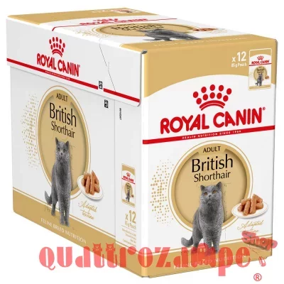 Royal Canin British Shorthair Adult Umido 85 gr Per Gatti
