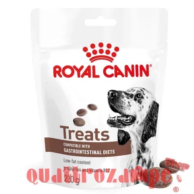 Royal Canin Treats Gastrointestinal 230 g Snack cane