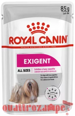 Royal_canin_mini_exigent_umido_cane_loaf_85_gr.jpeg