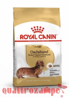 ad-dachshund-packshot-bhn18.jpeg