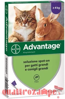 advantage_gatto_80_mg_per_gatti_grandi.jpg