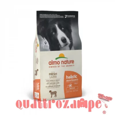 almo-nature-cane-holistic-adult-con-agnello-e-riso-medium-almc5_1.jpg