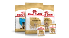 Breed Health Nutrition 