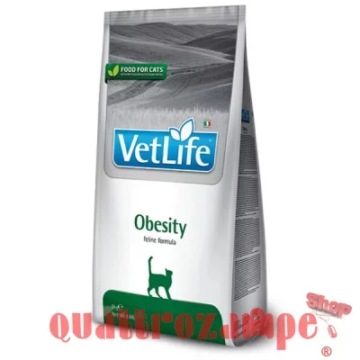 VETLIFEOBESITYGATTO2_1.jpg