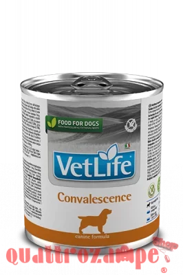 Farmina Vet Life Convalescence 300 gr Barattolo Umido Per Cani