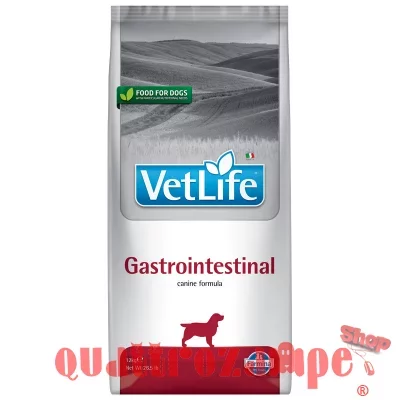 VETLIFEGASTROINTESTINALCANE12_1_copy.jpg