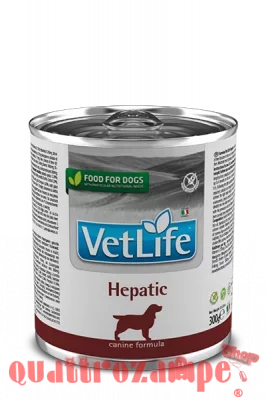 Farmina Vet Life Hepatic 300 gr Barattolo Umido Per Cani