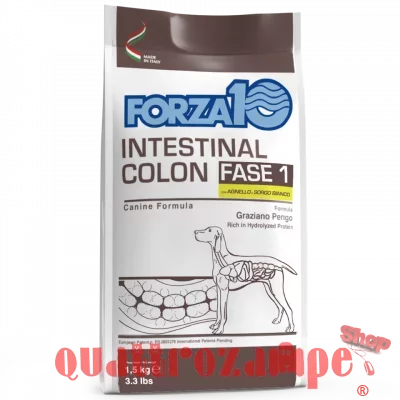 Forza 10 Intestinal Colon Fase 1 Agnello Sorgo 1,5 kg Per Cani