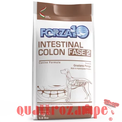 Forza 10 Intestinal Colon Fase 2 4 Kg Cane