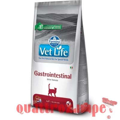 gastro-intestinal-feline.png