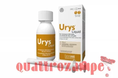 in-evidenza-Urys.jpg