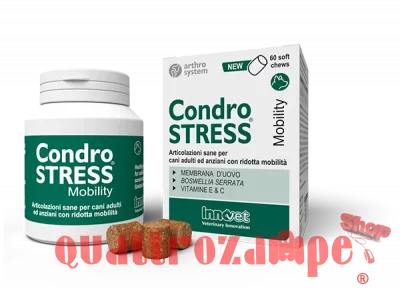 condrostress-plus-per-le-articolazioni-dei-cani.jpg