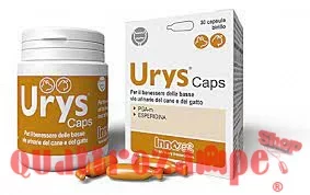 Innovet Urys Caps 30 Capsule Birillo Monodose