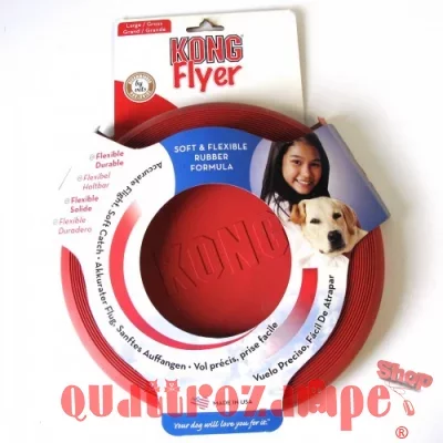 kong-flyer-dog-frisbee-500x500.jpg