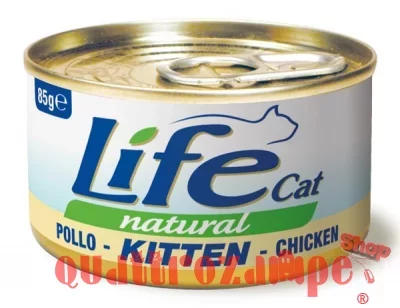 life_cat_kitten_pollo_85_gr_scatoletta_per_gatti.jpg