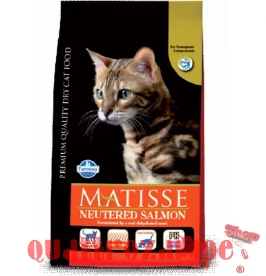 matisse-10kg-neutered-salmone.jpg