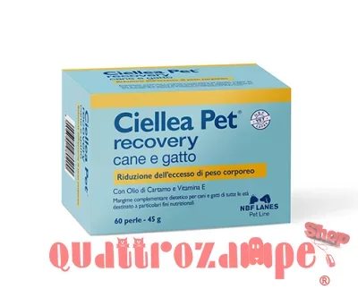 nbf_Ciellea-Recovery.jpg