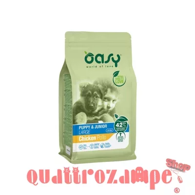 oasy-dog-puppy-junior-large.jpg