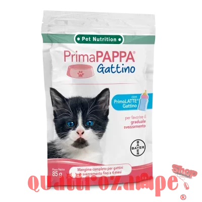 primapappa_gattino.jpg