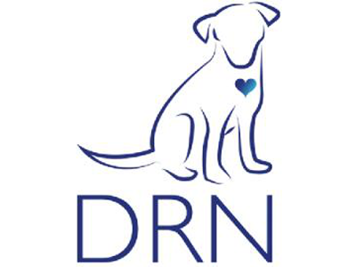 brand drn