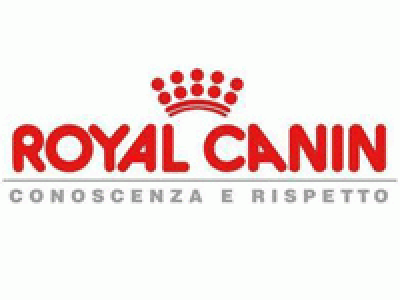 brand royal-canin