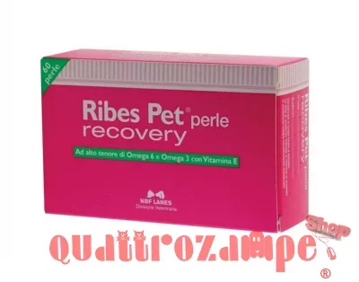 ribes_recovery_60_2.jpg