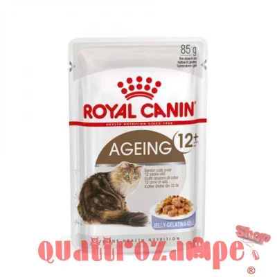 royal-canin-ageing-12anni-in-gelatina-busta-85gr.jpg