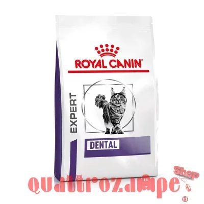 Royal Canin Expert Dental Cat 1,5 kg Crocchette per gatto