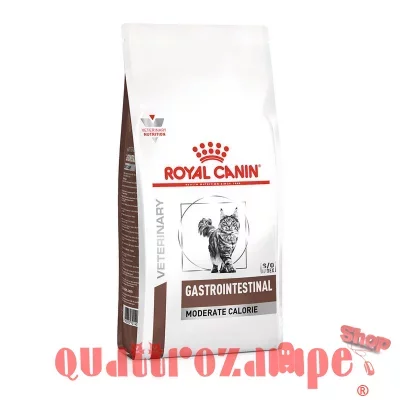 royal_canin_gastro_intestinal_moderate_calorie_gatto.jpg