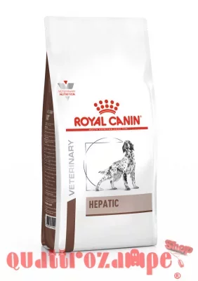 royal-canin-hepatic_dog_12_kg_.jpg