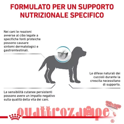 Royal Canin Hypoallergenic Puppy Veterinary Crocchette per cani