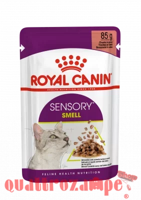 Royal Canin Sensory Smell Gravy 85 gr Alimento Umido Salsa Gatti